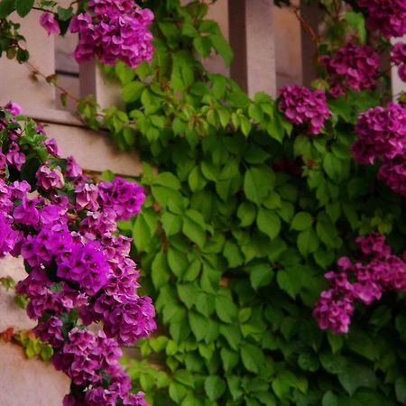 Large And Charming Apartment Near Beach With Big & Sunny Terrace Сумартін Екстер'єр фото
