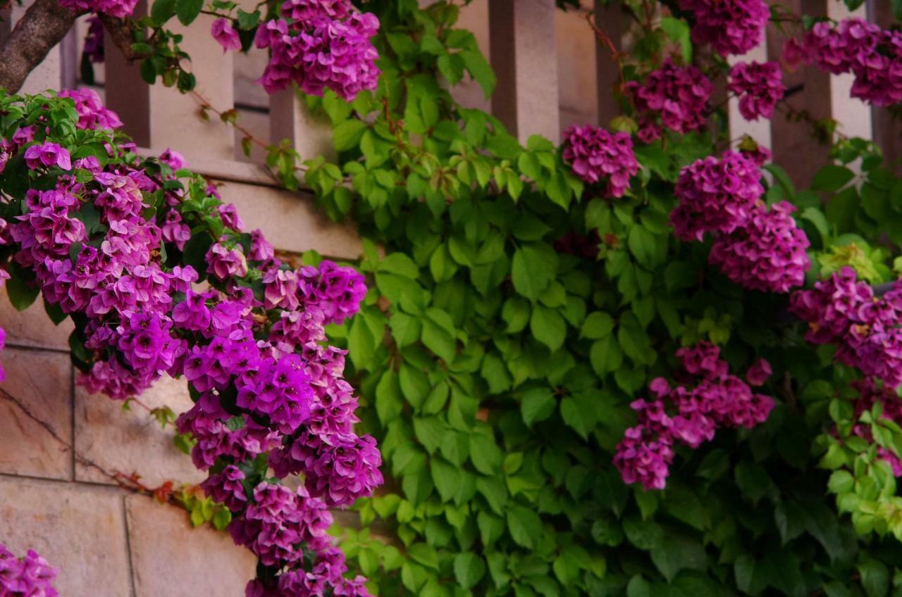 Large And Charming Apartment Near Beach With Big & Sunny Terrace Сумартін Екстер'єр фото